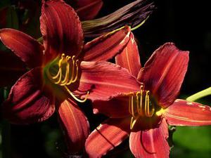 开元棋牌- 开元棋牌官方网站- 开元棋牌APP下载南湖怎么念