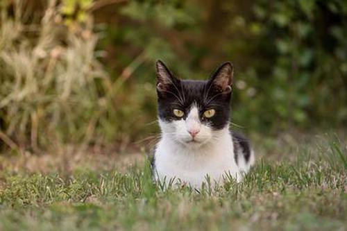 套娃效应在企业管理开元棋牌- 开元棋牌官方网站- 开元棋牌APP下载中发挥的作用