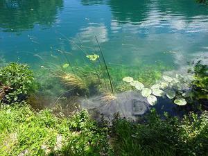 醒来！5-15°C！上海这里人扑扑满！市中心300户原拆原建！知名品牌要调价！中国队连夺2金！今年法定假日开元棋牌- 开元棋牌官方网站- 开元棋牌APP下载全与周末重合！春节打麻将算违规？